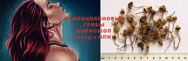 марихуана Анжеро-Судженск