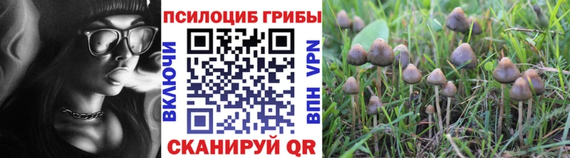 ОМГ ОМГ ссылки  Усмань  Галлюциногенные грибы Magic Shrooms 